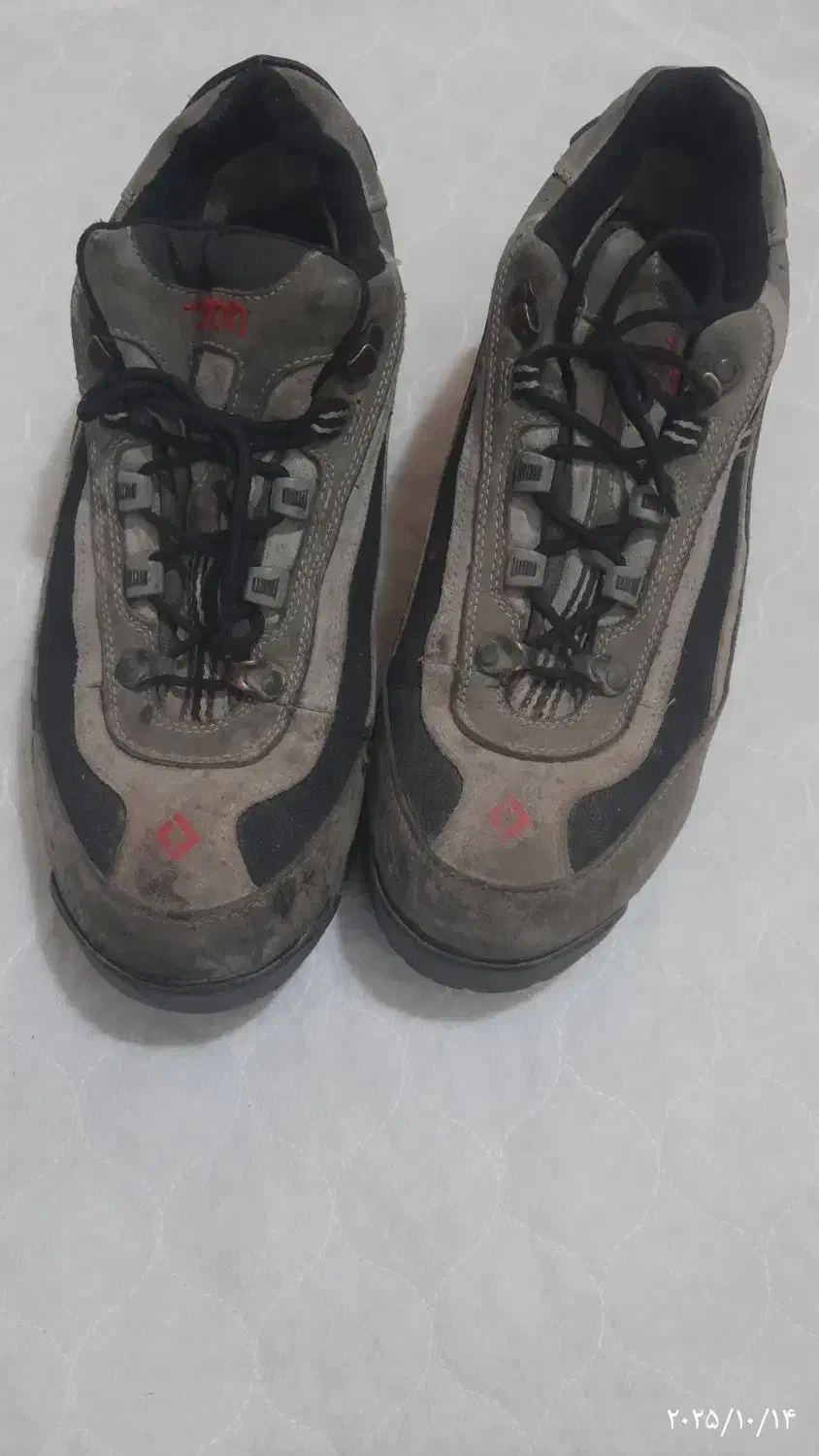 کفش|کیف، کفش، کمربند|بیرجند, |دیوار