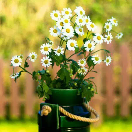 اجاره اپارتمان پشت بیمارستان جدید کنار پارک مسجد|اجارهٔ آپارتمان|نیک شهر, |دیوار