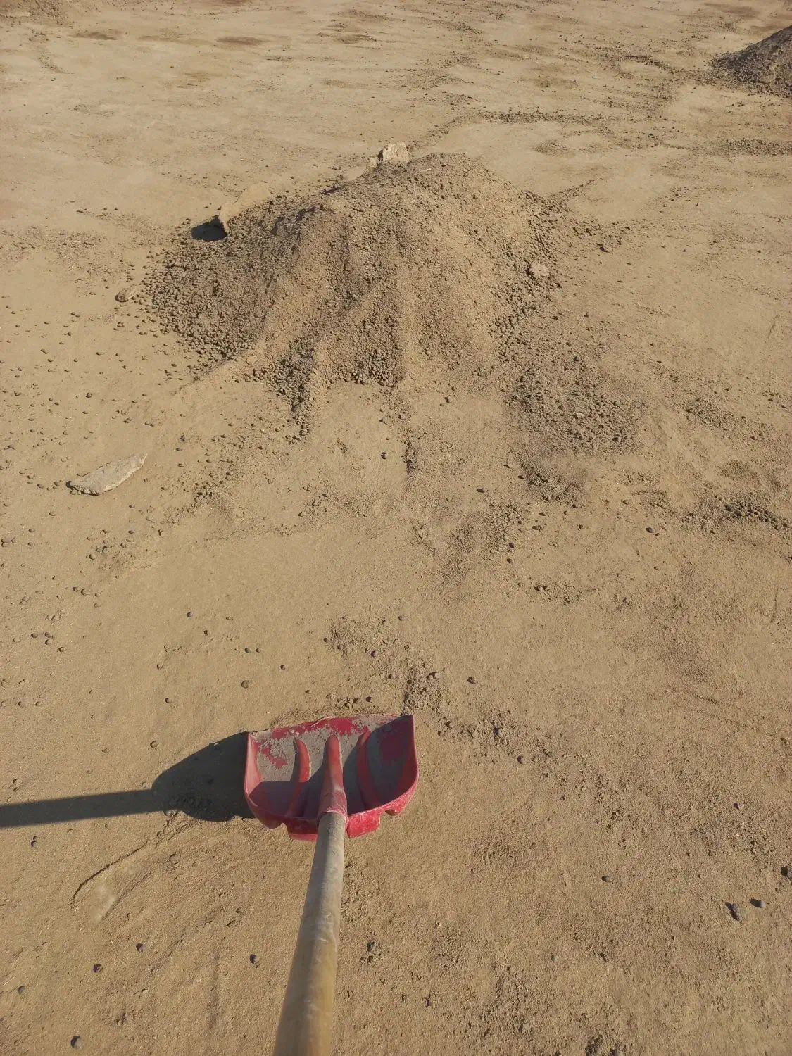 کود گاوی وگوسفندی|خدمات باغبانی و درختکاری|نکا, |دیوار