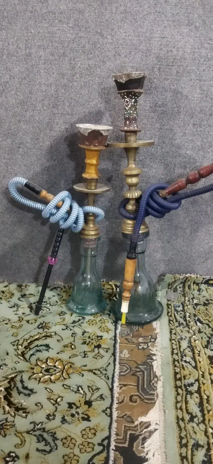 قلیان میویی|کلکسیون و سرگرمی|ویلکیج, |دیوار