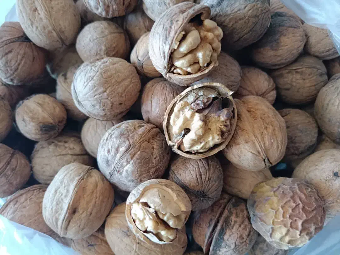 گردو کاغذی|خوردنی و آشامیدنی|رفسنجان, |دیوار