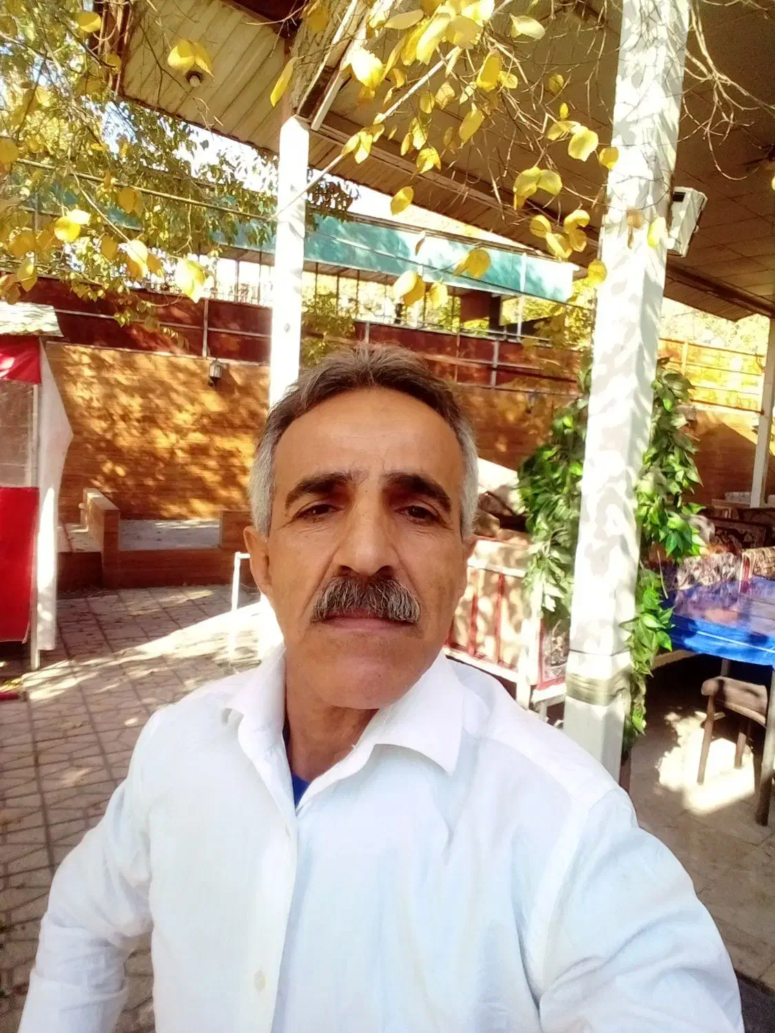 شاطر سیروس هستم|استخدام خدمات فروشگاه و رستوران|تفرش, |دیوار