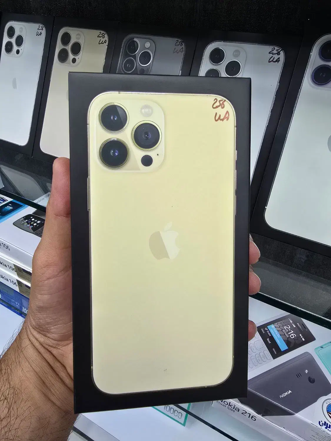 فروش فوق‌العاده‌ی اقساط iPhone 13 promax|موبایل|بندرعباس, |دیوار