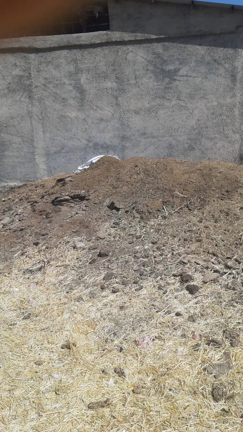 کود حیوانی|خدمات باغبانی و درختکاری|بروجرد, |دیوار