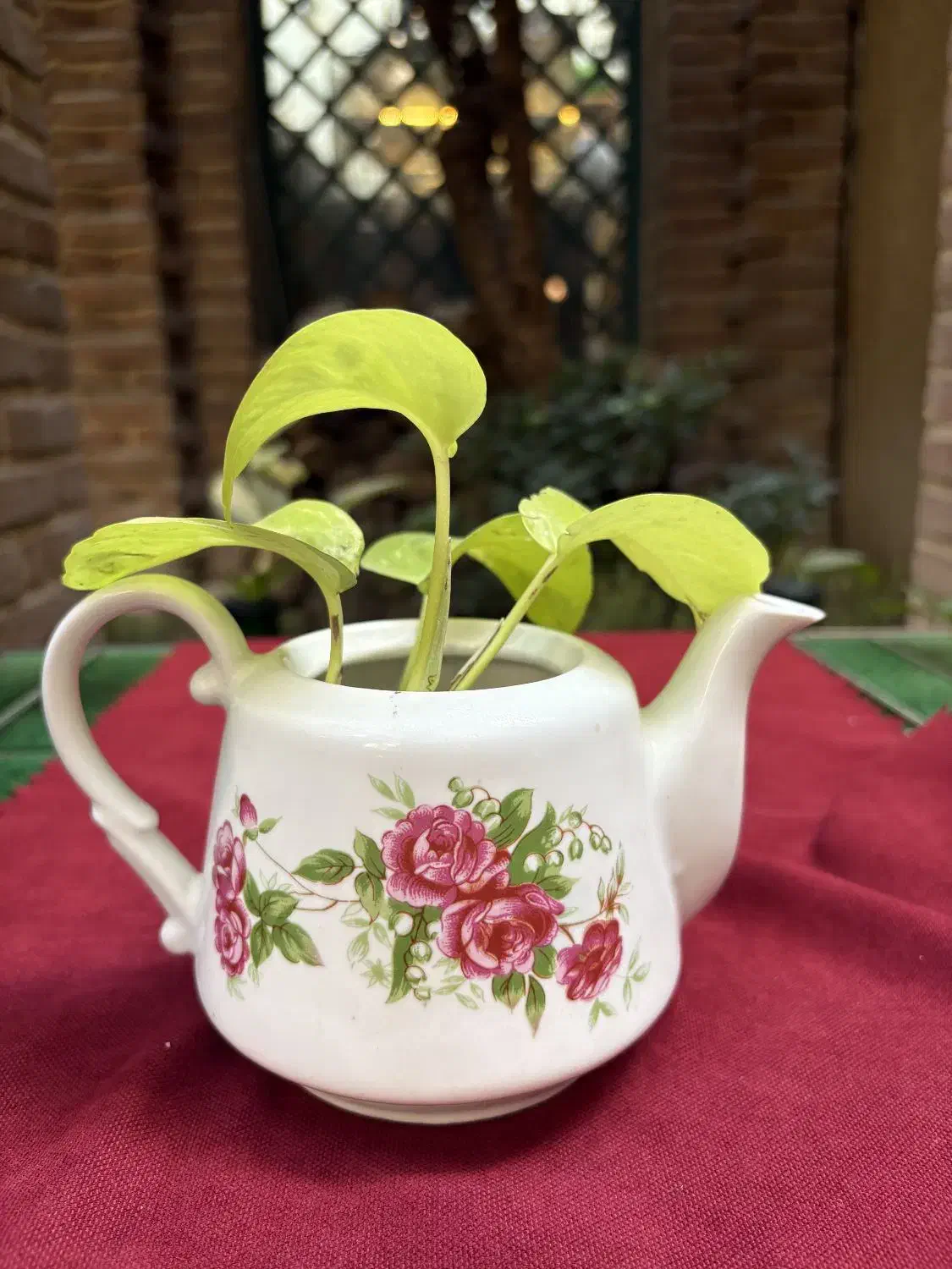 نظافت منزل فقط کافی یک بار امتحان کنید ضرر نمیکنید|خدمات نظافت|تهران, ونک|دیوار