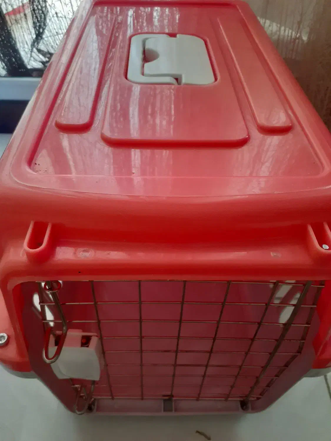 لوازم باکس و سینی حیوانات خانگی|لوازم جانبی حیوانات|صدرا-فارس, فاز ۱|دیوار