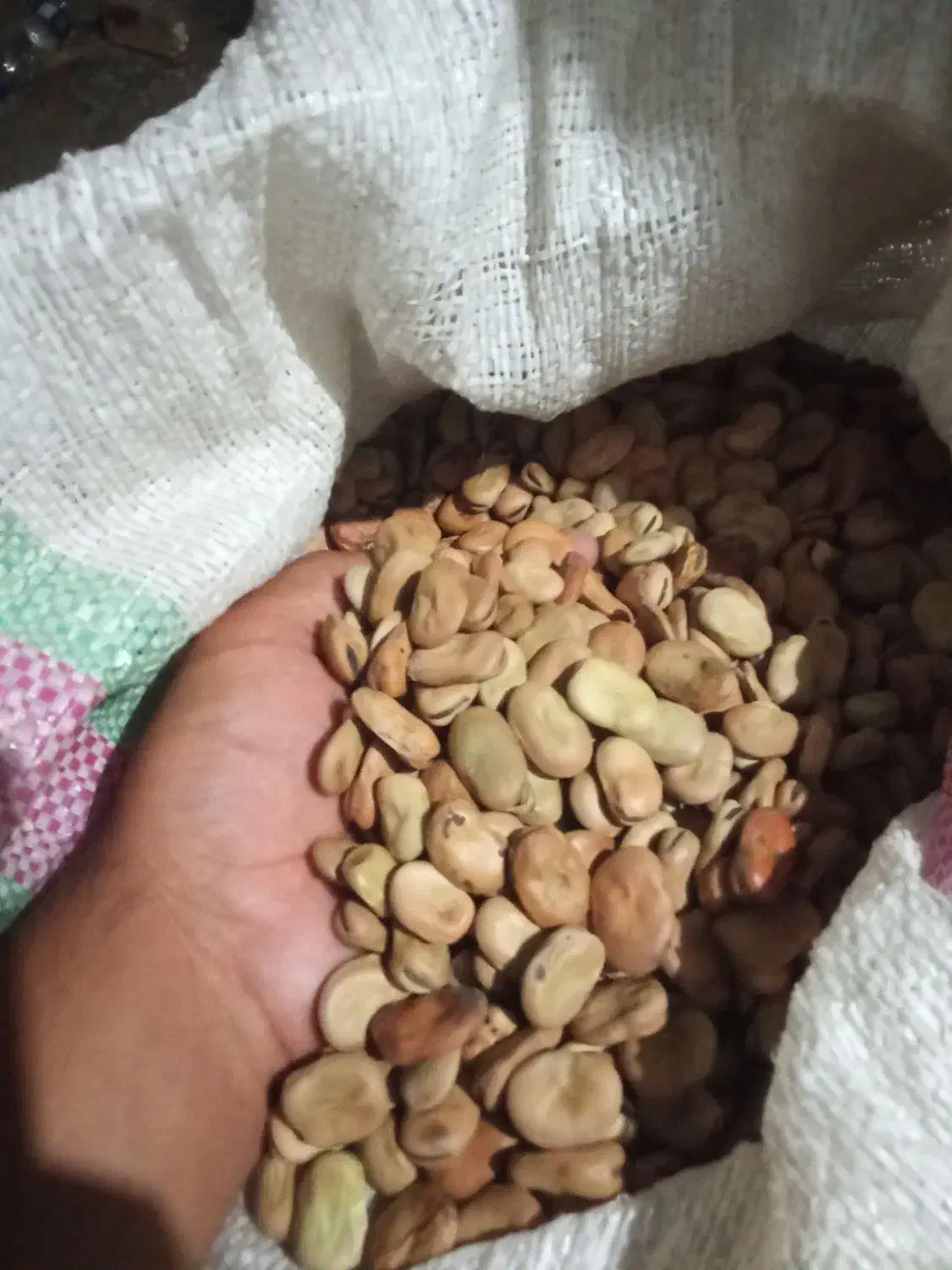 برنج فجر ۹۰روزه وباقلی درجه یک|خوردنی و آشامیدنی|خان ببین, |دیوار
