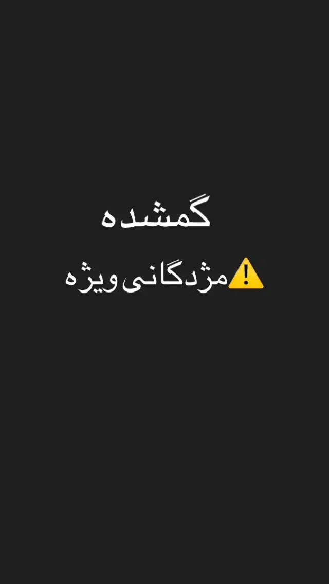 مدارک گم شده|اشیا|مشهد, شهید آوینی|دیوار