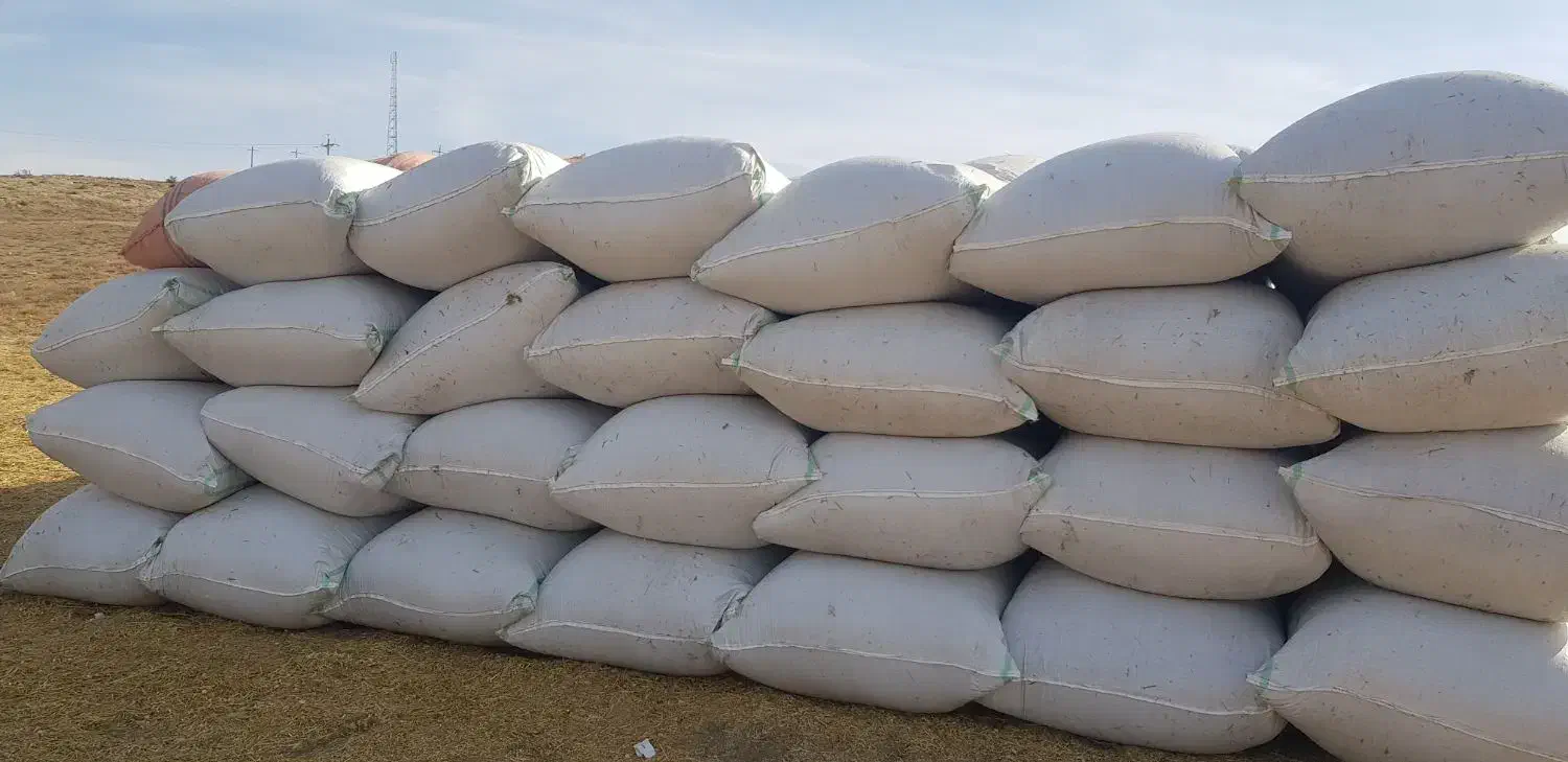 کاه گندم بسته بندی شده در گونی|لوازم جانبی حیوانات|نمین, |دیوار