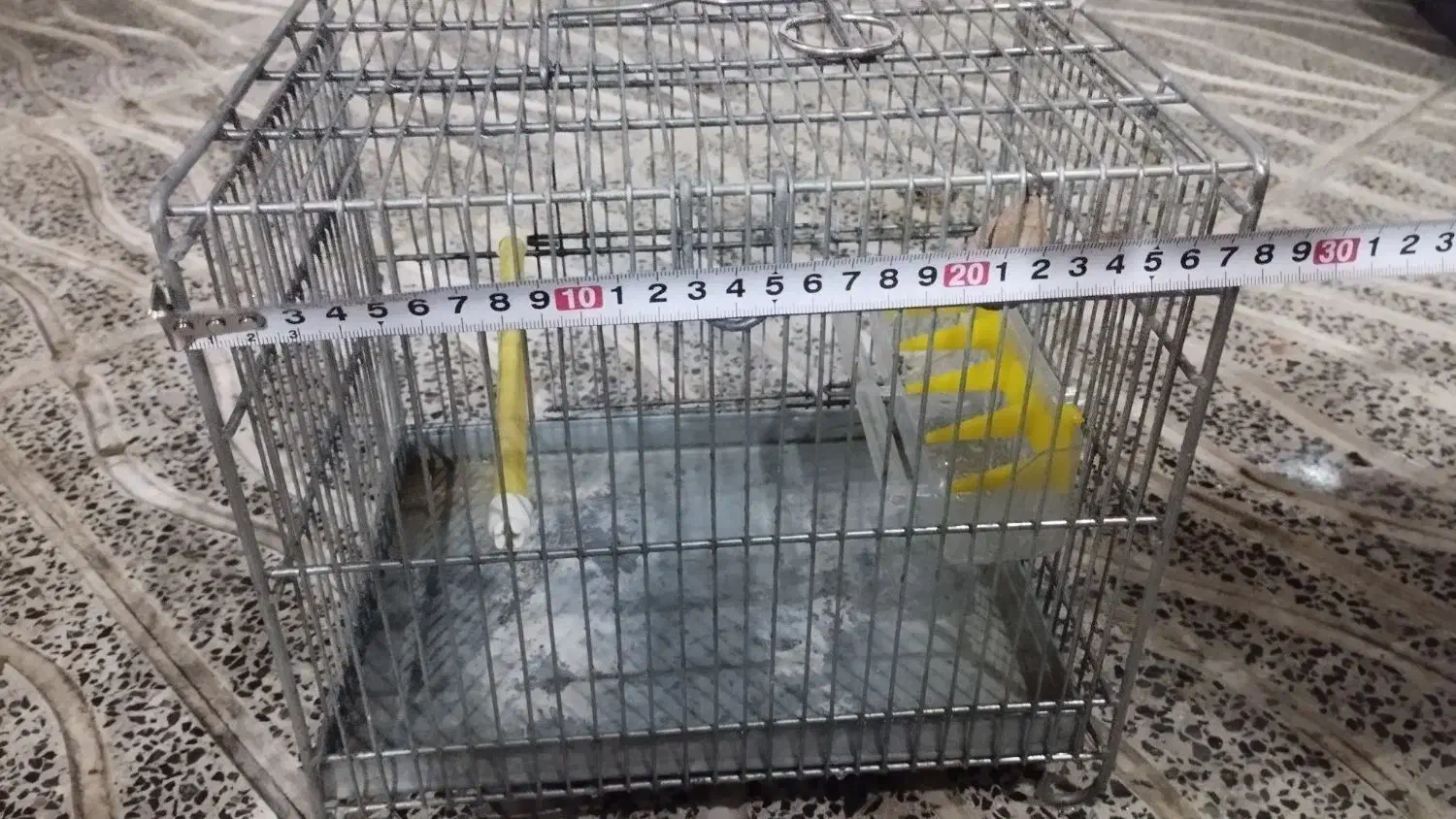 قفس سهره سره فضلی|لوازم جانبی حیوانات|ری, دولتآباد|دیوار