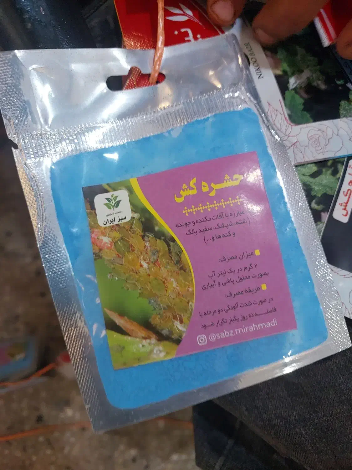 انواع گل گلدان|گل و گیاه طبیعی|شوش, |دیوار