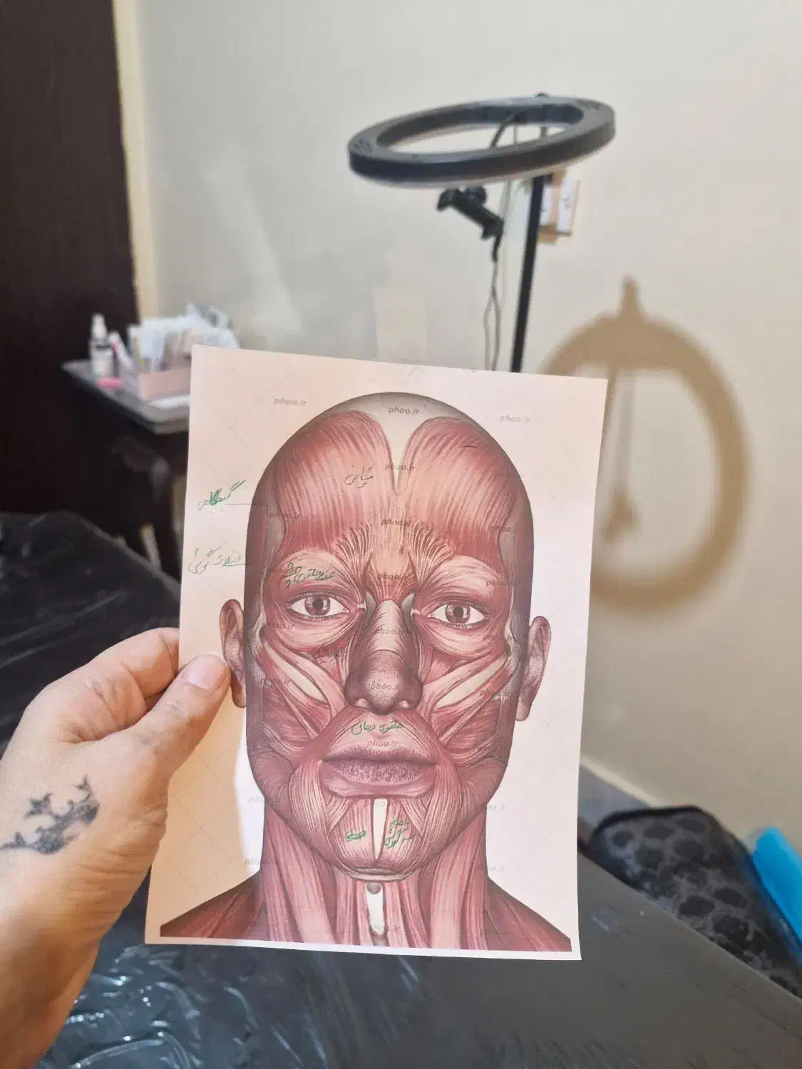 آموزش تزریق ژل لب.ژل گونه بوتاکس انواع مزوتراپی|خدمات آموزشی|آبادان, |دیوار