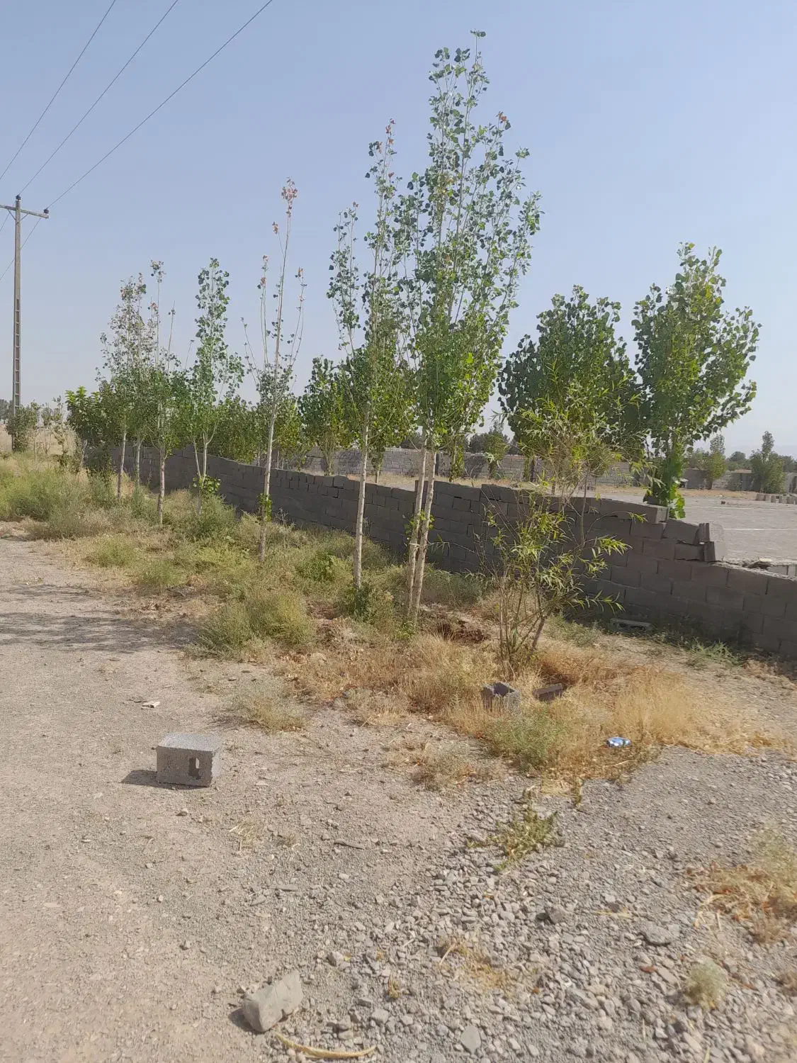 زمین حاشیه جاده قدیم|فروش زمین و ملک کلنگی|گلبهار, نوبهار|دیوار