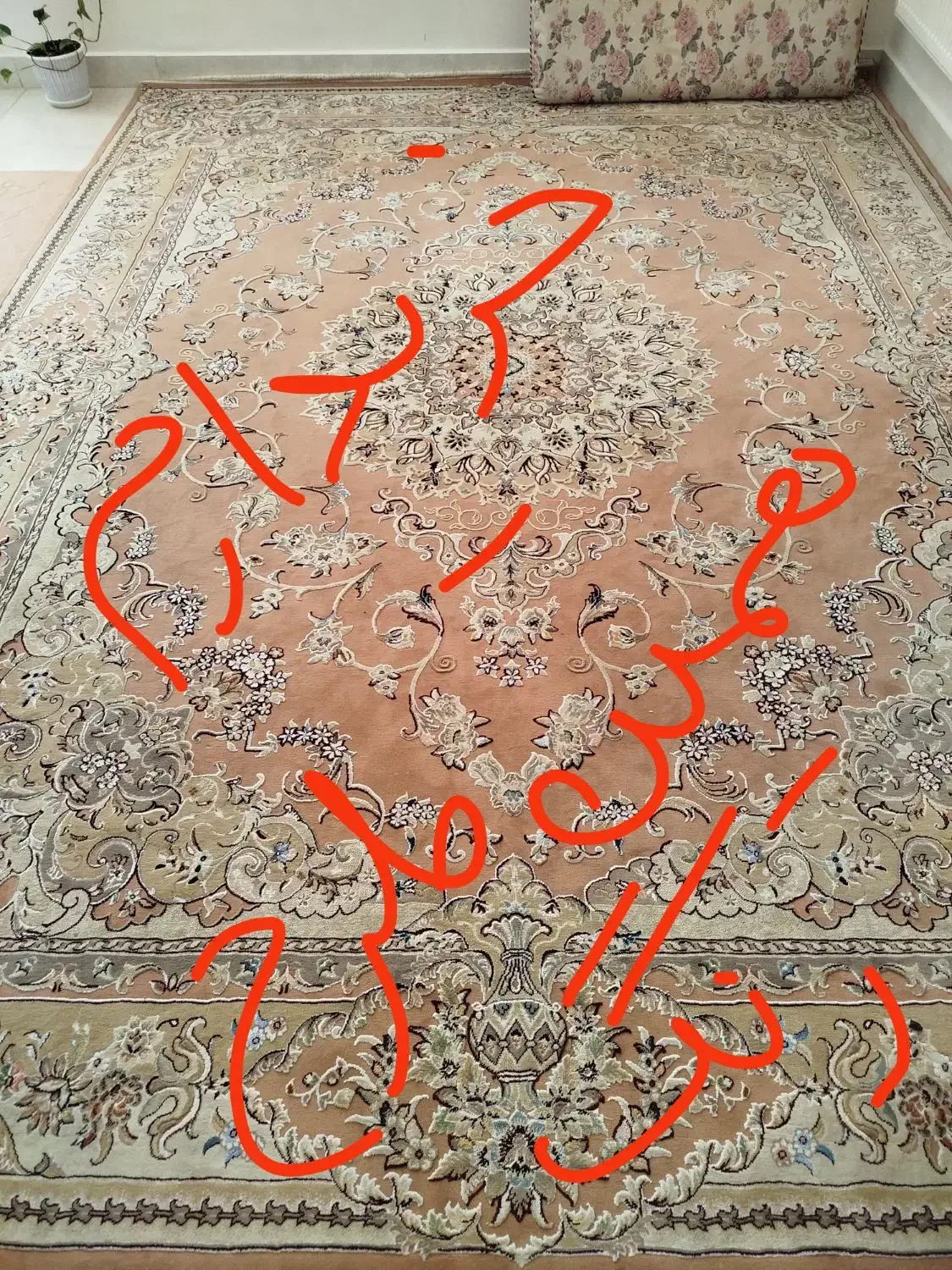 فرش رنگ گلبهی|فرش|خرم‌آباد, |دیوار