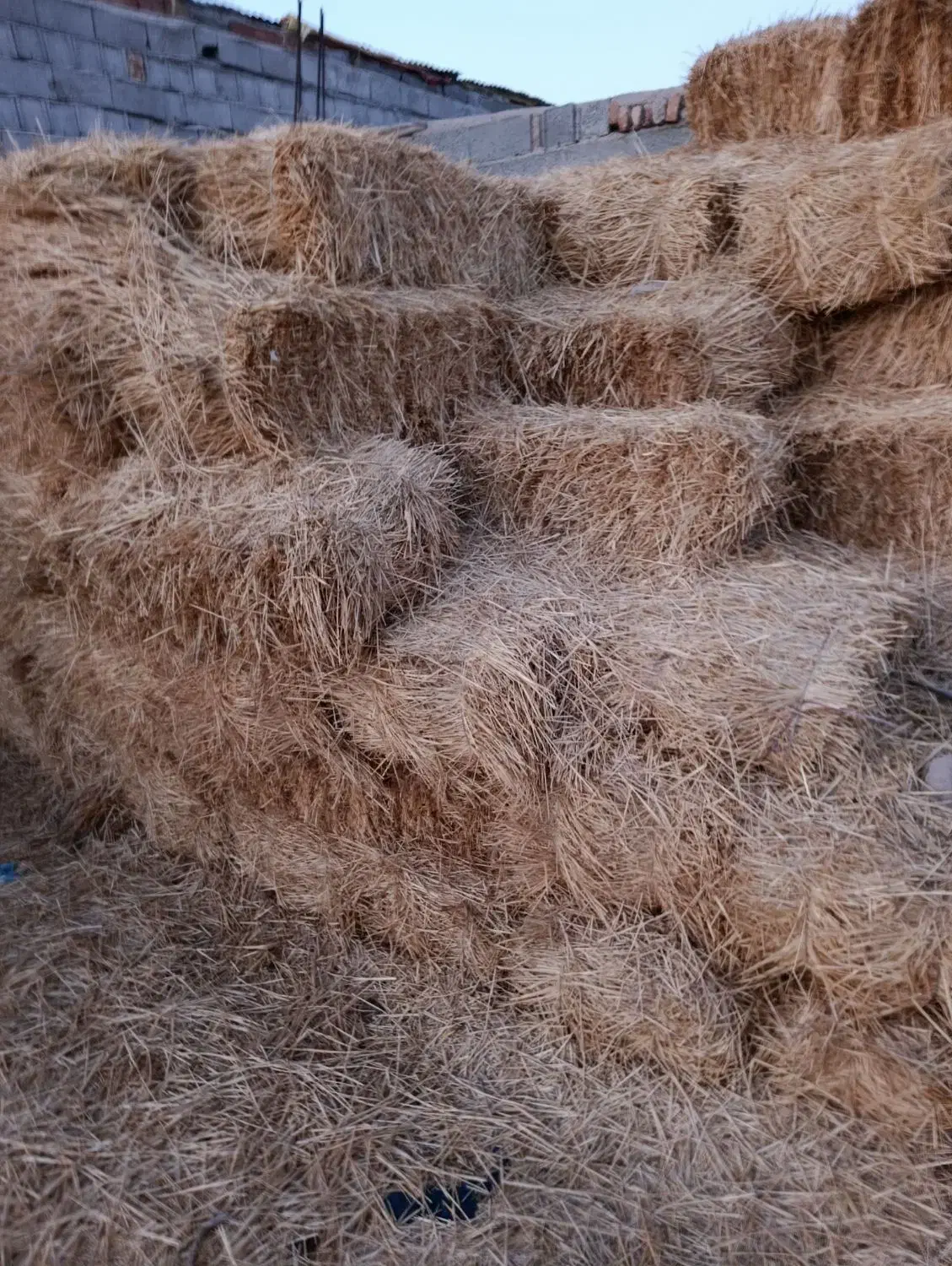 ۱۱۱|لوازم جانبی حیوانات|هیر, |دیوار