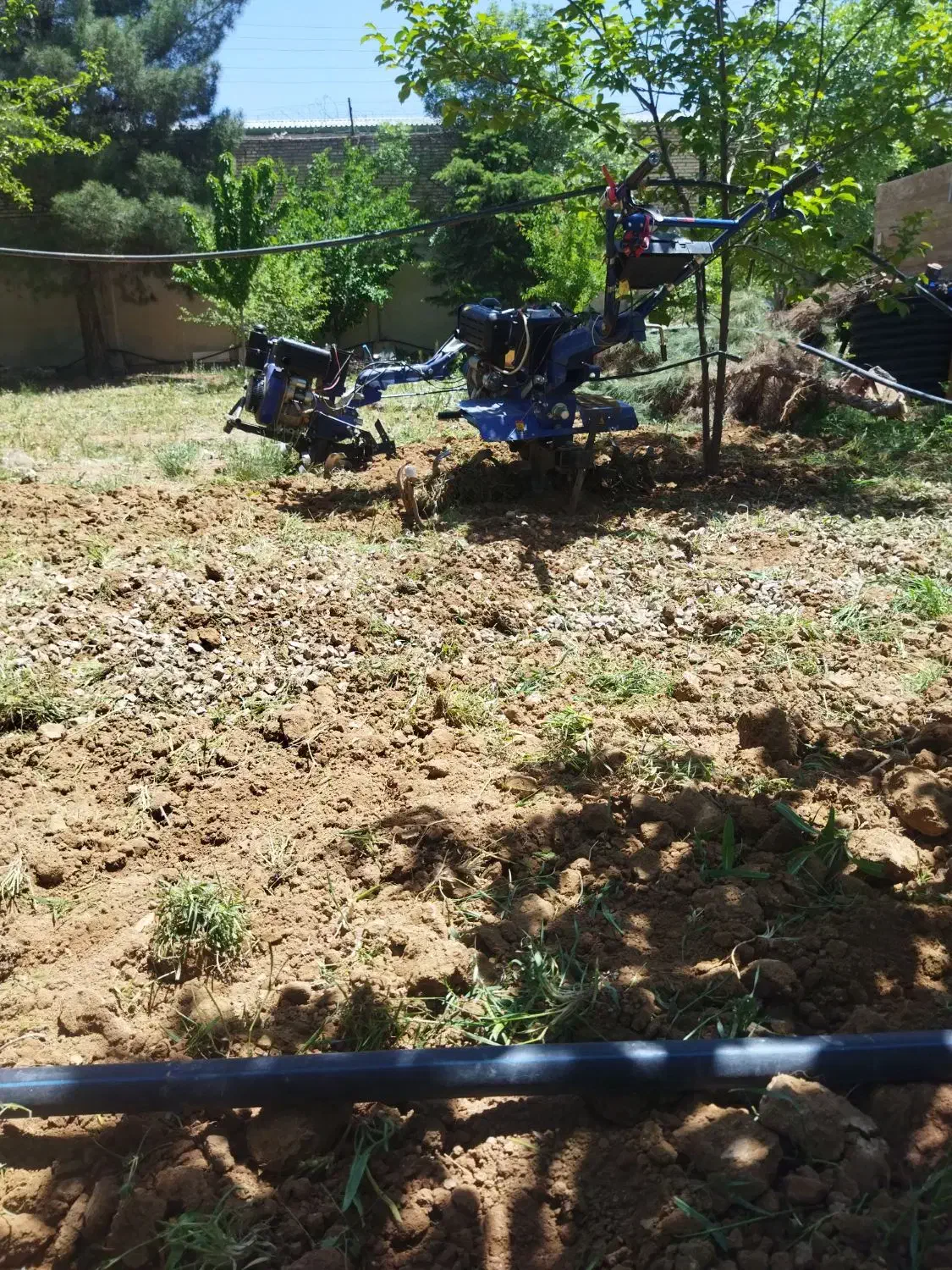 . تیلر. سم پاشی .|خدمات باغبانی و درختکاری|سنندج, |دیوار