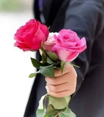 راهنمایی ازدواج|فعالیت داوطلبانه|تهران, مهرآباد جنوبی|دیوار