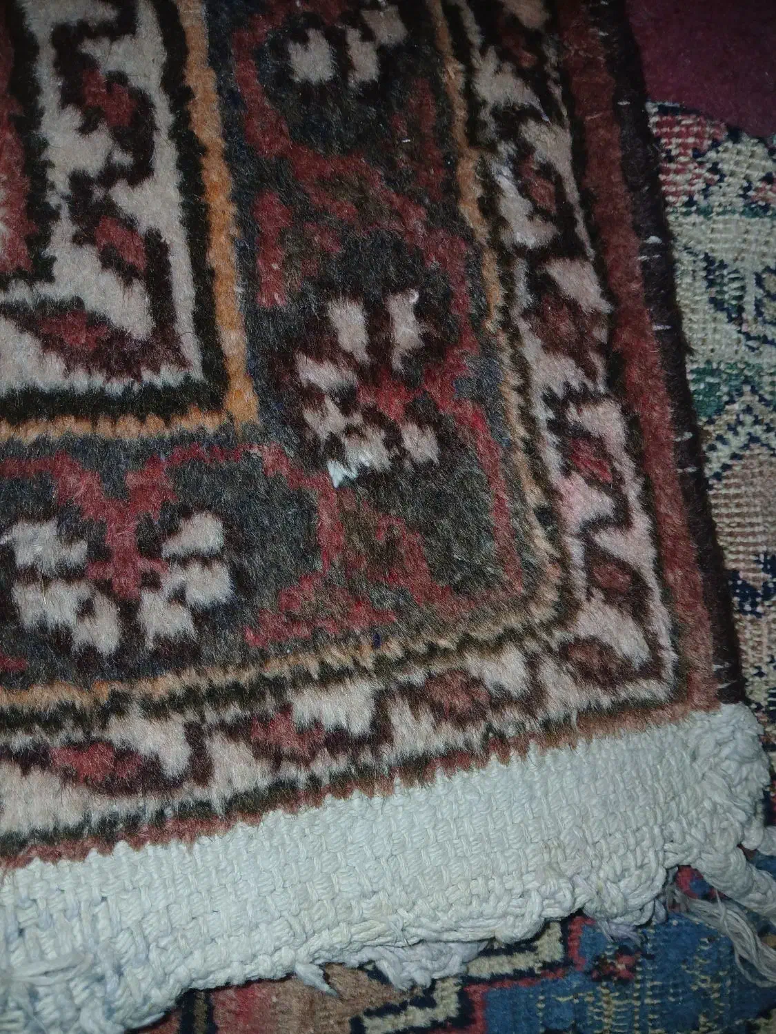 قالی دستبافت در حد نو اصل|فرش|سمیرم, |دیوار