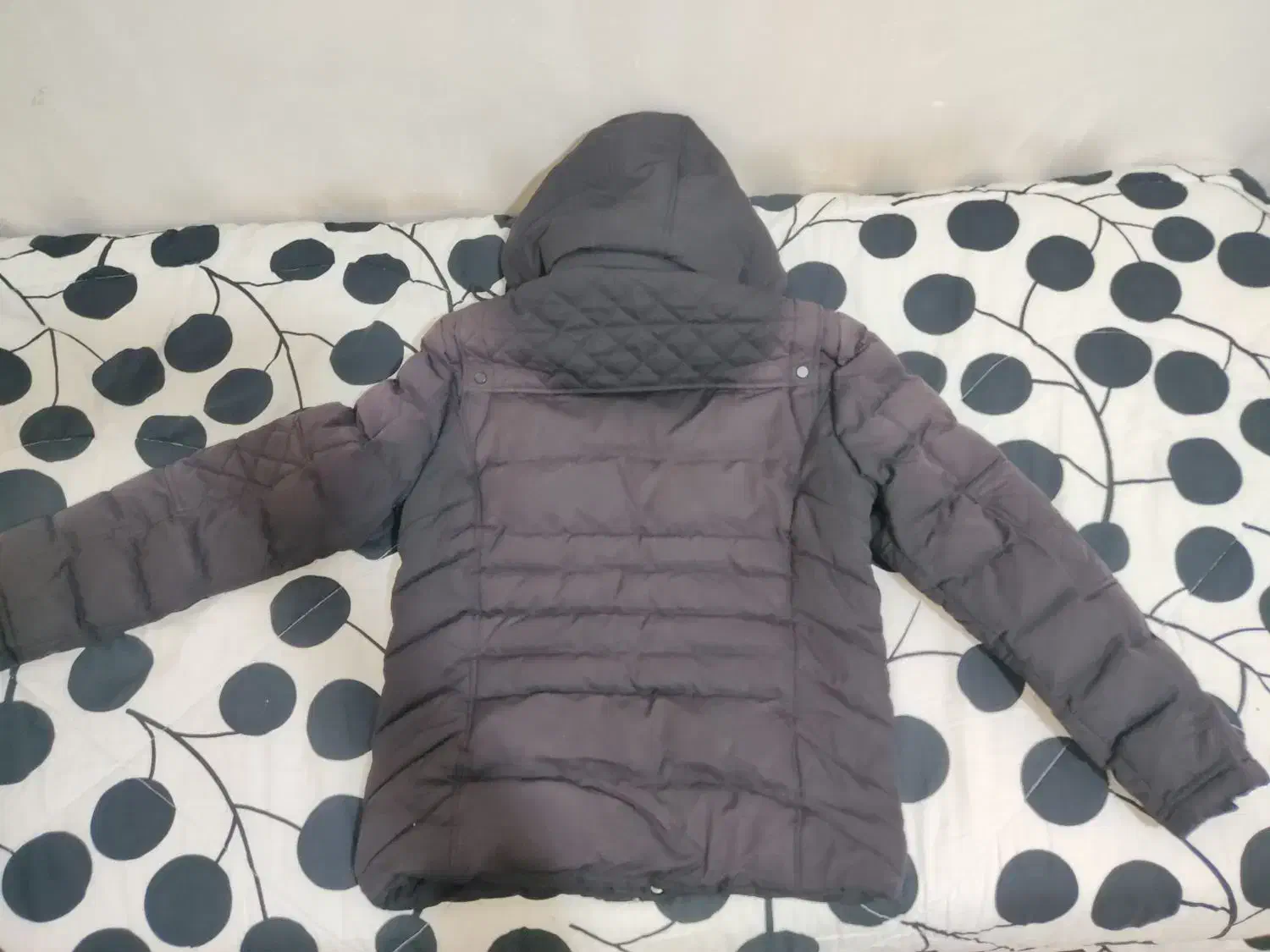 کاپشن مردانه|لباس|شاهین‌شهر, حافظ شمالی|دیوار