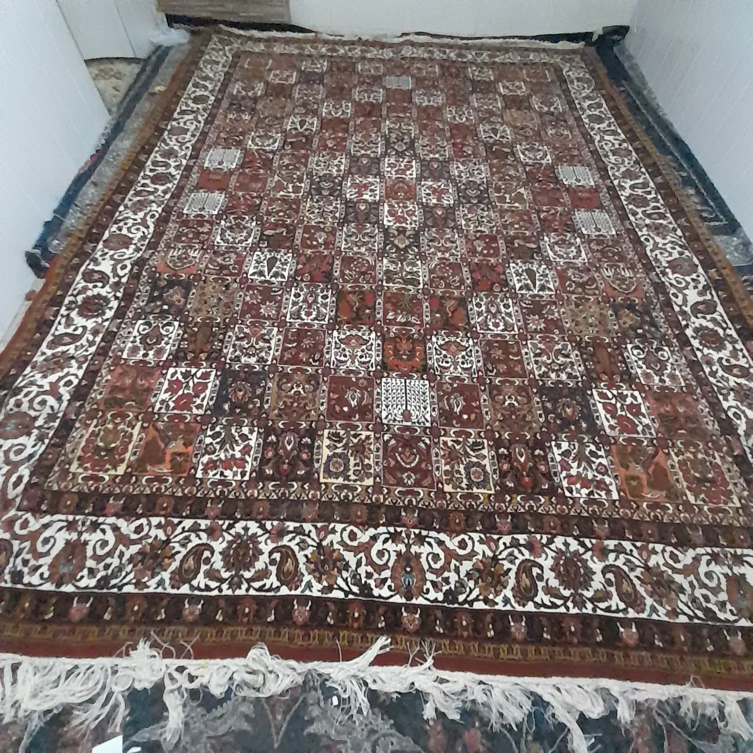 قالی دست باف 12متری.(3/4)|فرش|شهرکرد, |دیوار