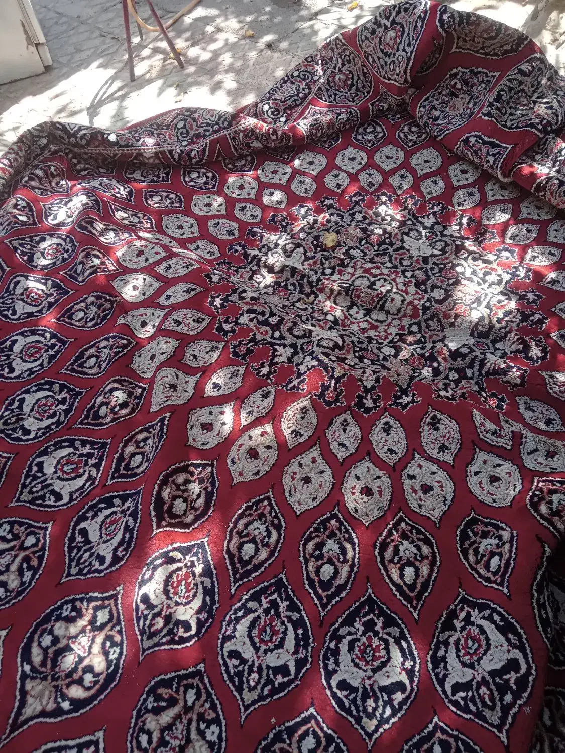 فرش ۱۲متری|فرش|تاکستان, |دیوار