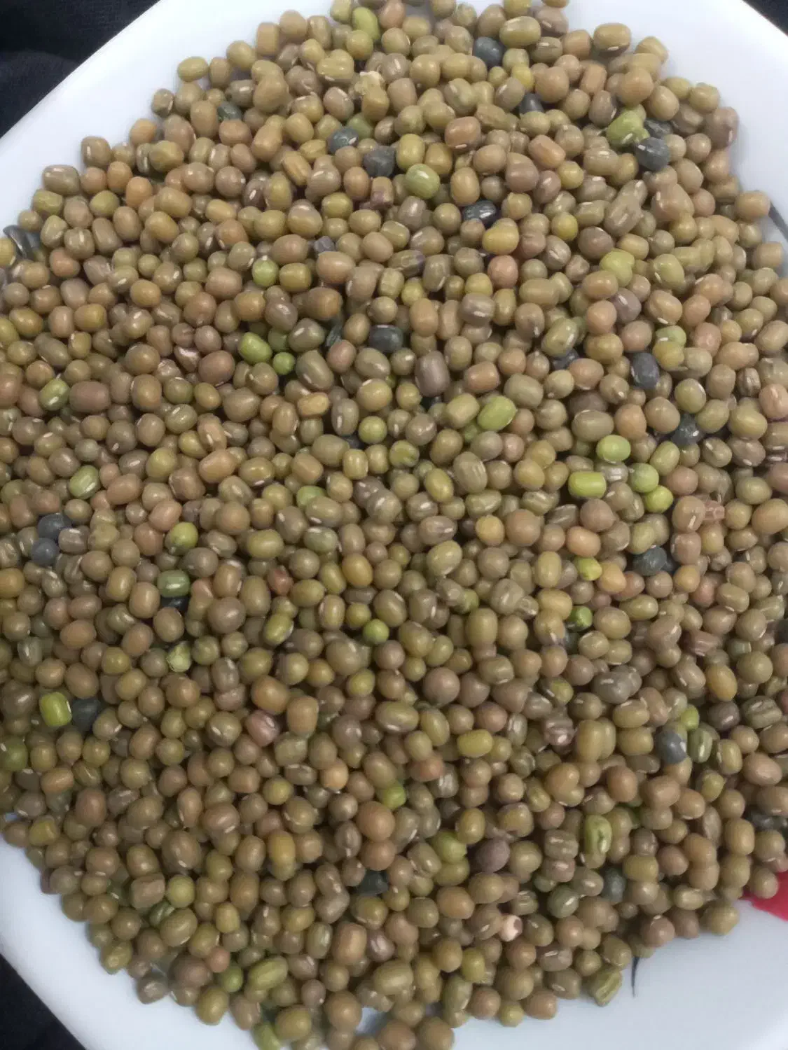 ماش ارتشی|خوردنی و آشامیدنی|چوار, |دیوار