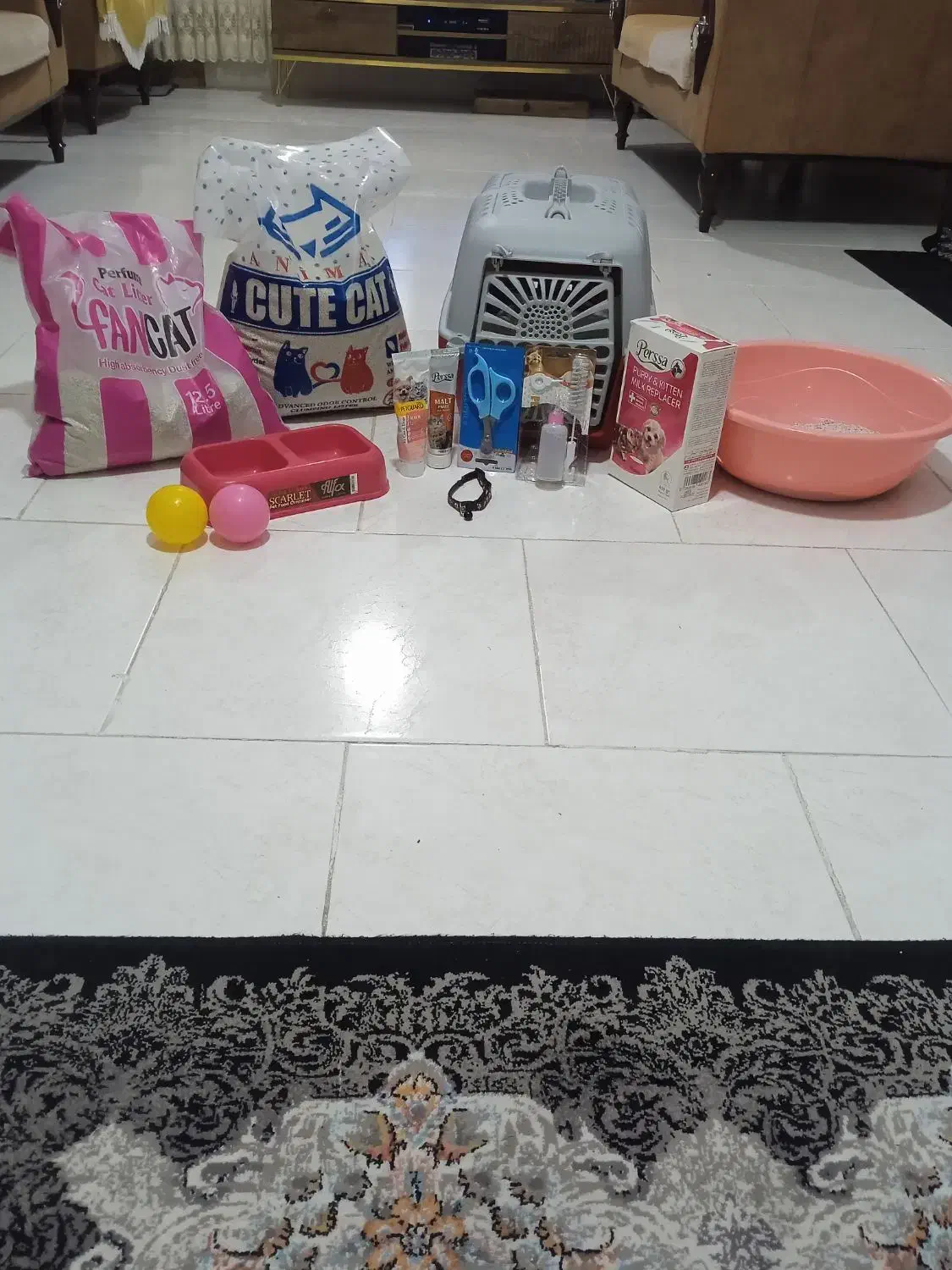 وسایل گربه|لوازم جانبی حیوانات|بومهن, |دیوار