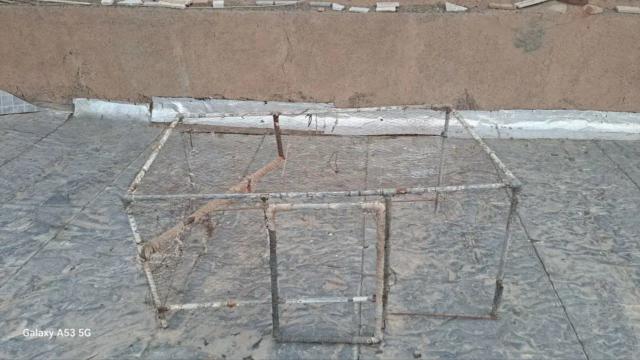 لانه مرغ|لوازم جانبی حیوانات|سبزوار, امیر کبیر|دیوار