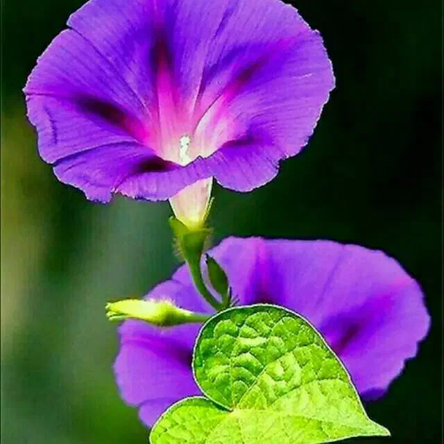 ساخت انواع کاردستی با قیمت مناسب امیدیه|صنایع دستی و سایر لوازم تزئینی|امیدیه, |دیوار