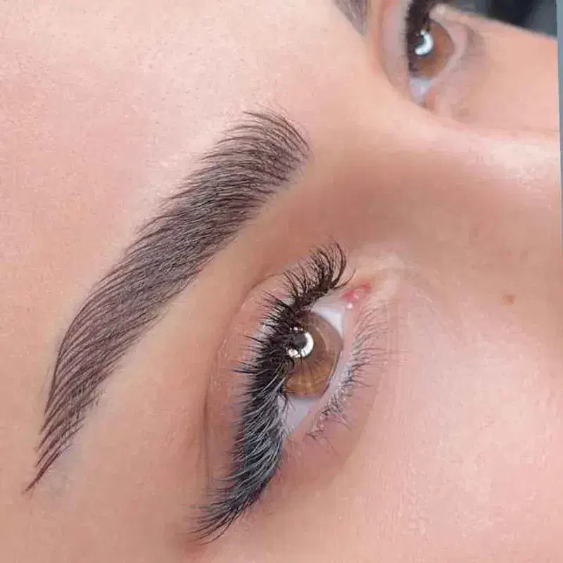 میکروابرو، تتوخط چشم، تتولب تاتو|خدمات آرایشگری و زیبایی|رشت, جانبازان|دیوار