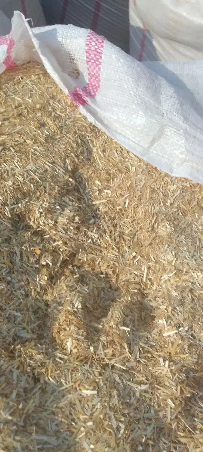 کاه نرم درجه ۱ گندم|حیوانات مزرعه|گنبد کاووس, |دیوار