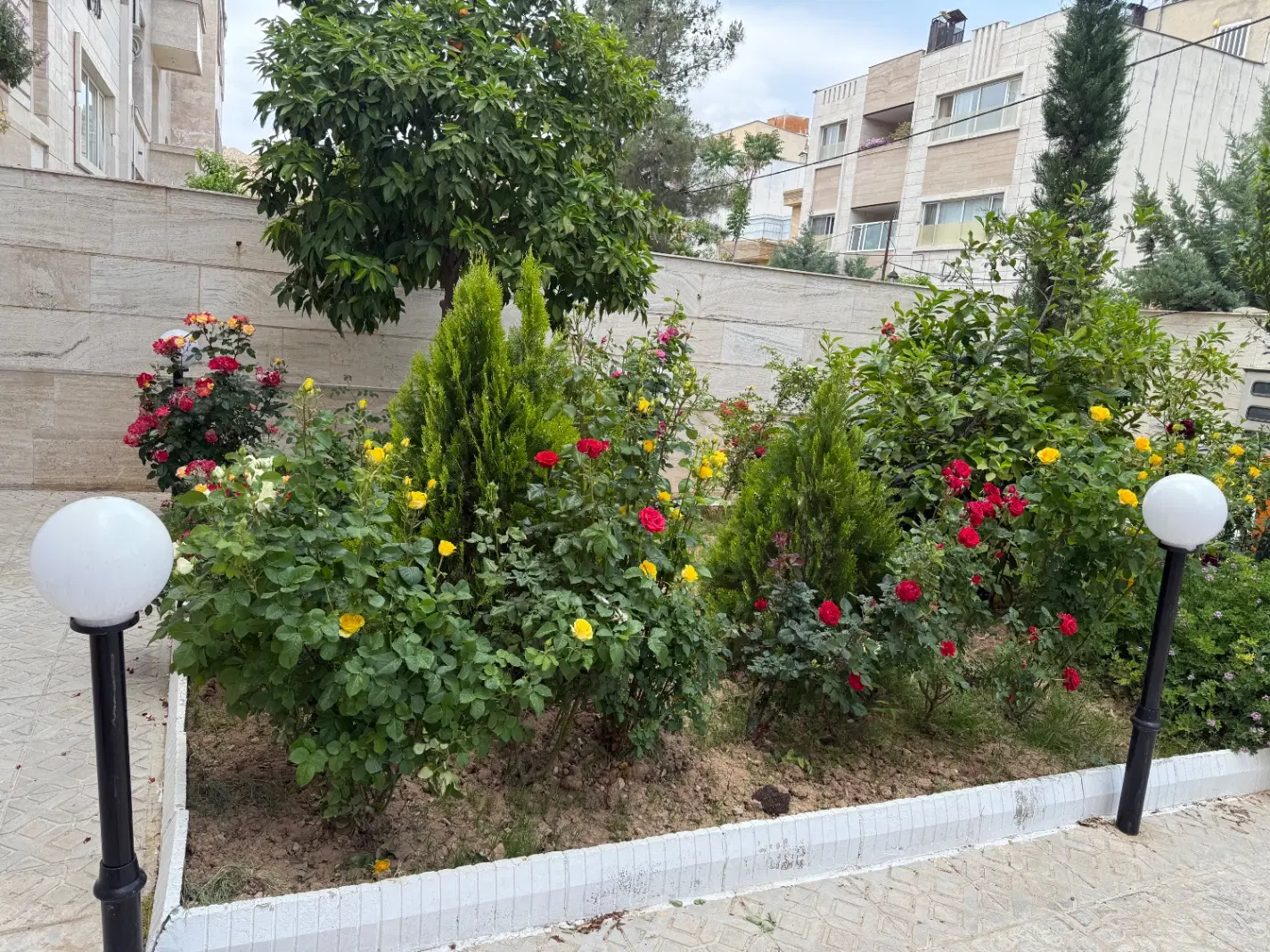تصویر 14