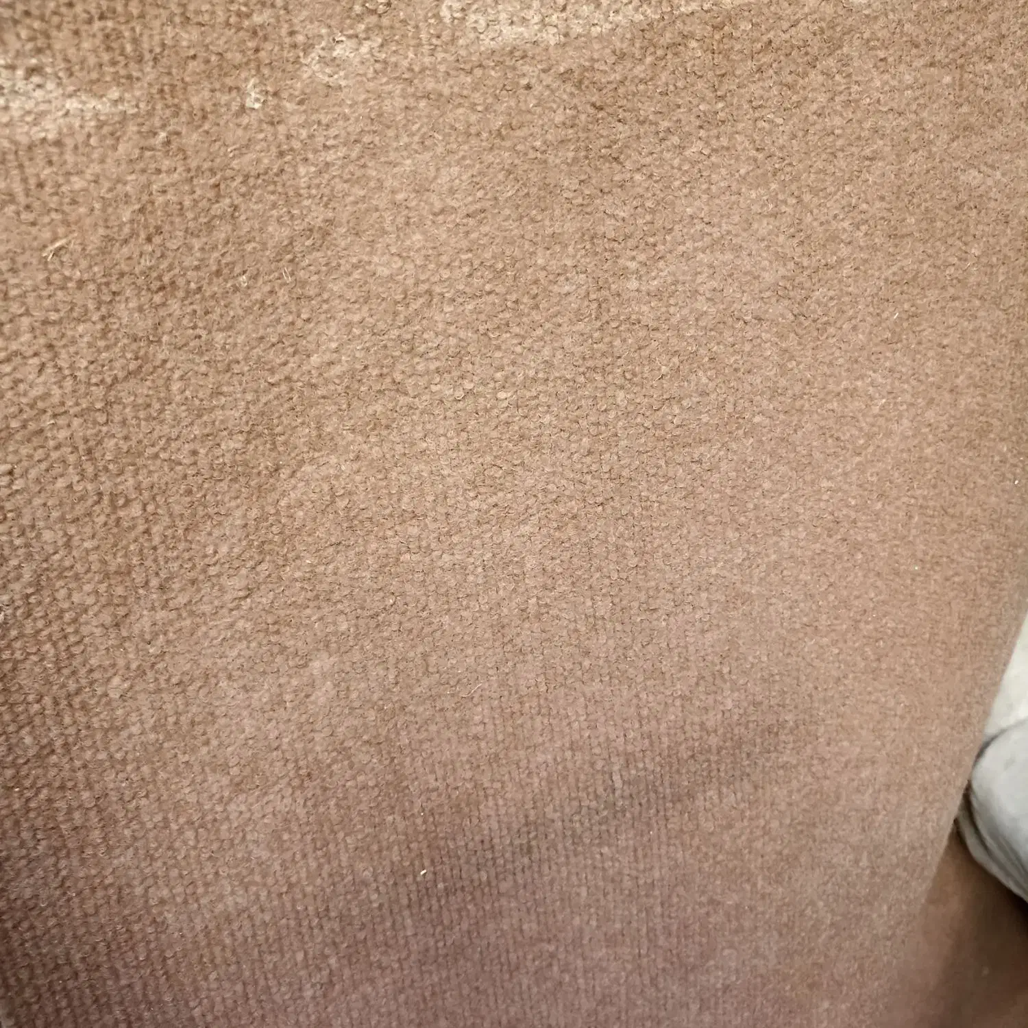 موکت حدودا 75متر|موکت|ملارد, |دیوار