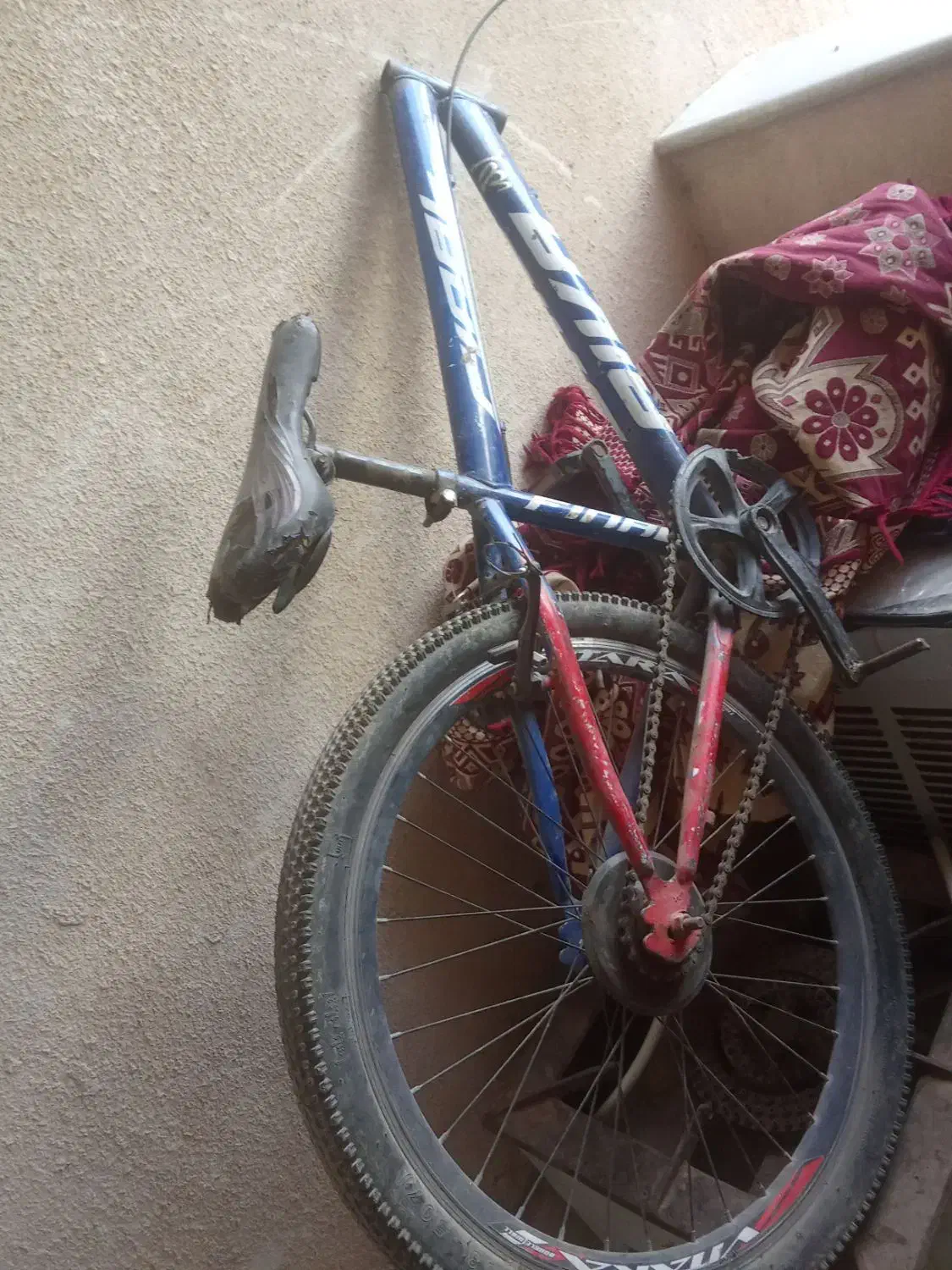 دوچرخه|دوچرخه، اسکیت، اسکوتر|گلبهار, شهر جدید گلبهار|دیوار