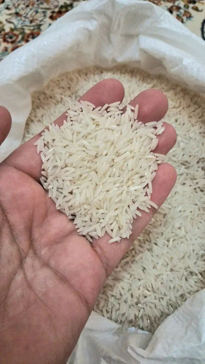 برنج هاشمی اعلا|خوردنی و آشامیدنی|رشت, اسماعیل آباد|دیوار