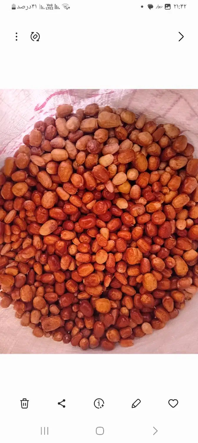 سنجدامساله خوش خوراک۱۳۰|عمده‌فروشی|بسطام, |دیوار