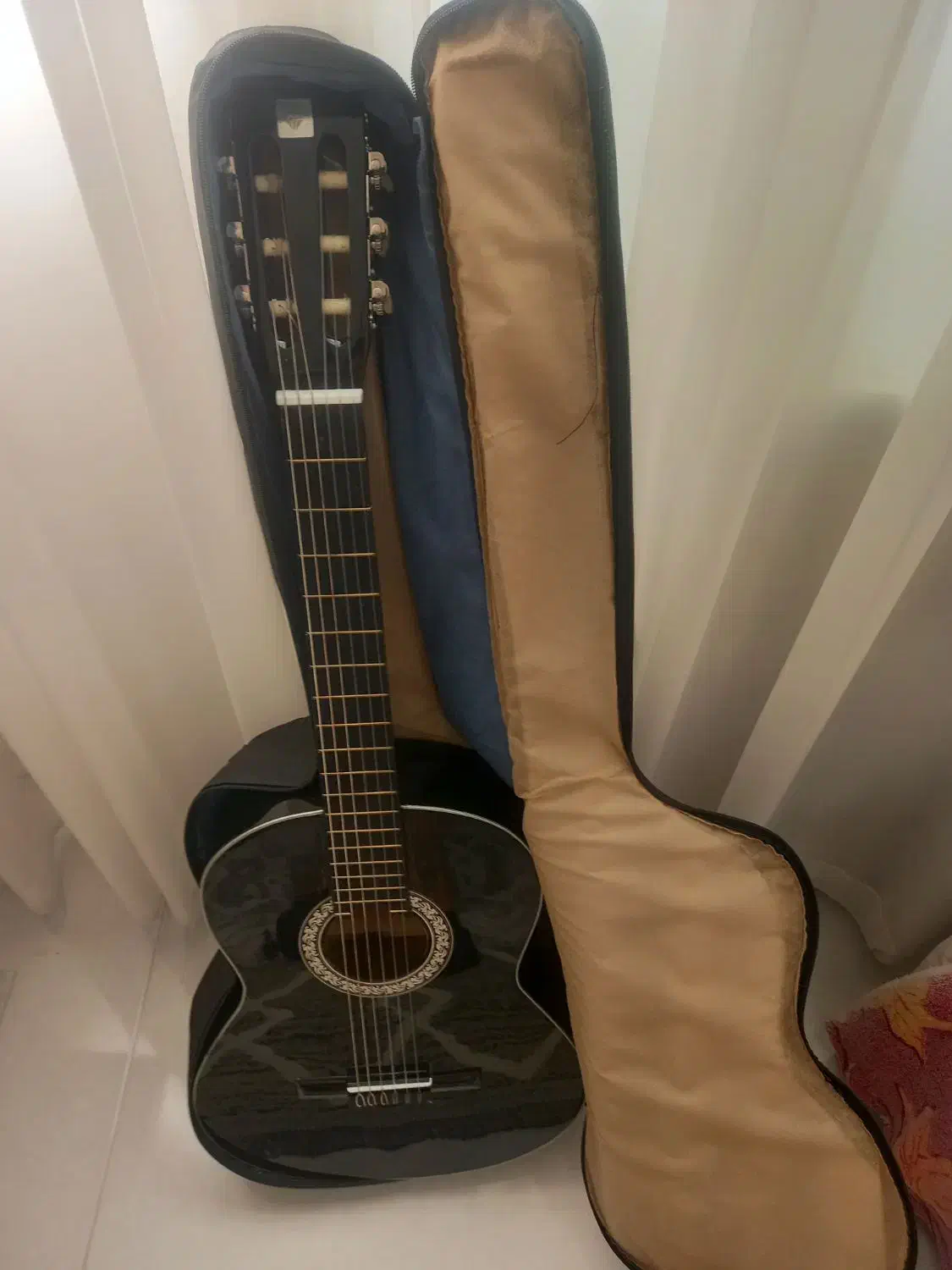 گیتار با کاور|گیتار، بیس، امپلیفایر|مشهد, جاهد شهر|دیوار