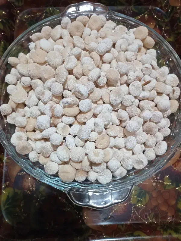 کشک دوغ وشیراز و ماست محلی|خوردنی و آشامیدنی|کوهدشت, |دیوار