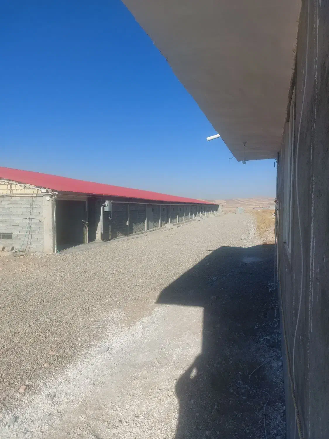 کار کر مرغداری کوشتی|استخدام سرایداری و نظافت|هشترود, |دیوار