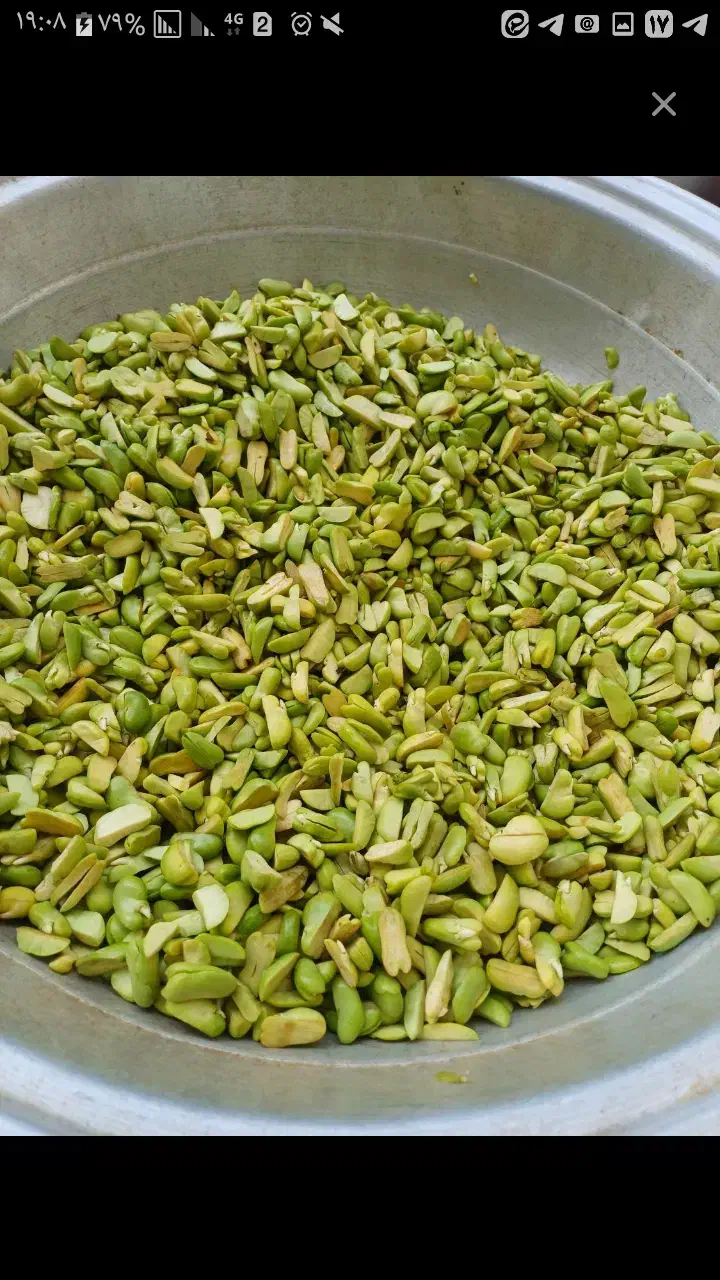 آبغوره گیری و سبزیجات آماده اسفندیاری|خوردنی و آشامیدنی|تربت‌حیدریه, بازار|دیوار