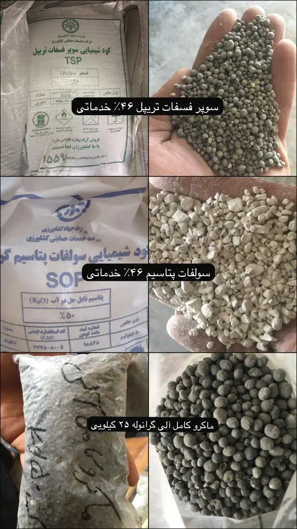 کود ریشه تکی و عمده و تناژ بالا|خدمات باغبانی و درختکاری|کرمانشاه, |دیوار