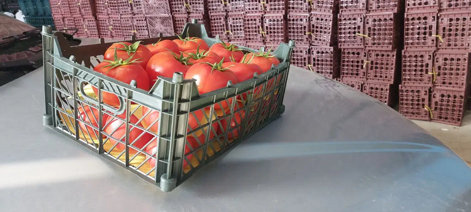 تولید و فـروش انواع سبد حمال ۲۰کیلویی موادیک|ظروف نگهدارنده، پلاستیکی، یک‌بارمصرف|هشتگرد, هشتگرد قدیم|دیوار