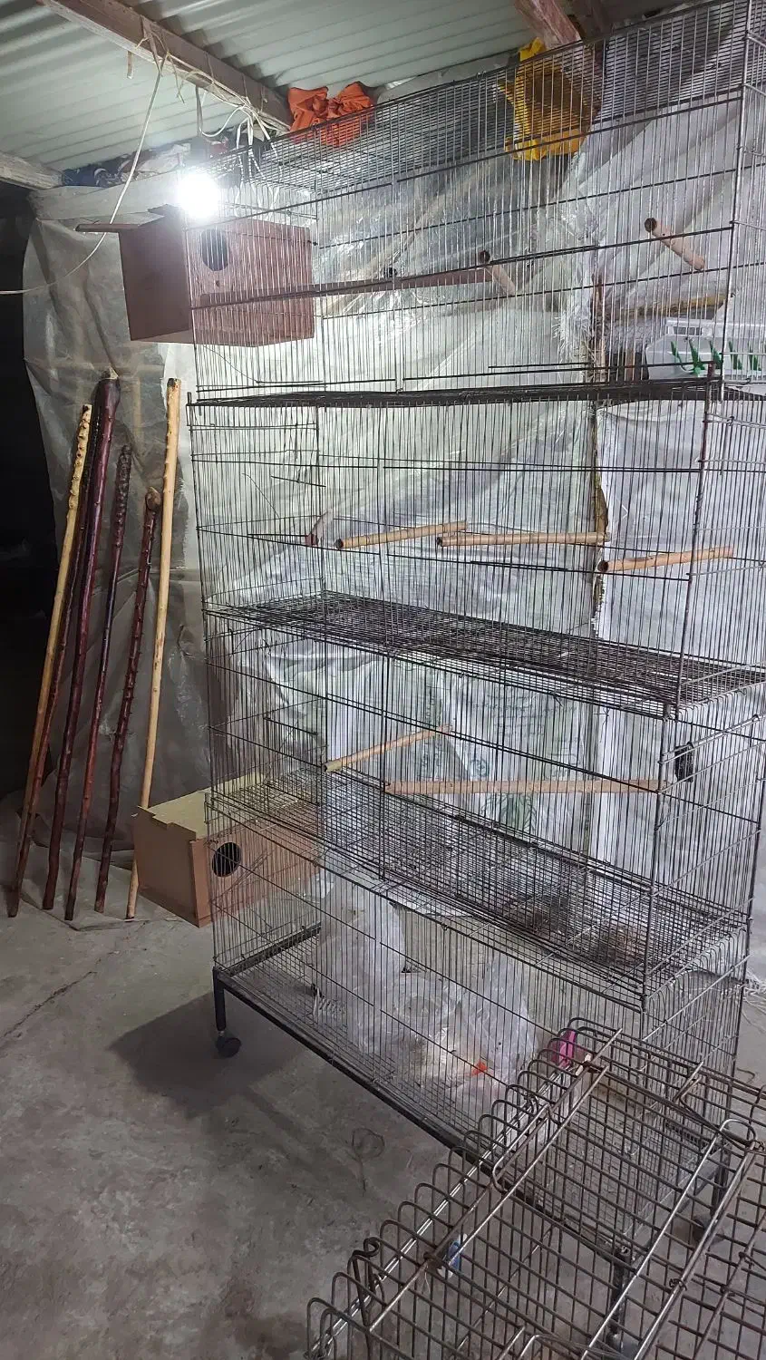 فروش قفس پرون|لوازم جانبی حیوانات|آمل, |دیوار