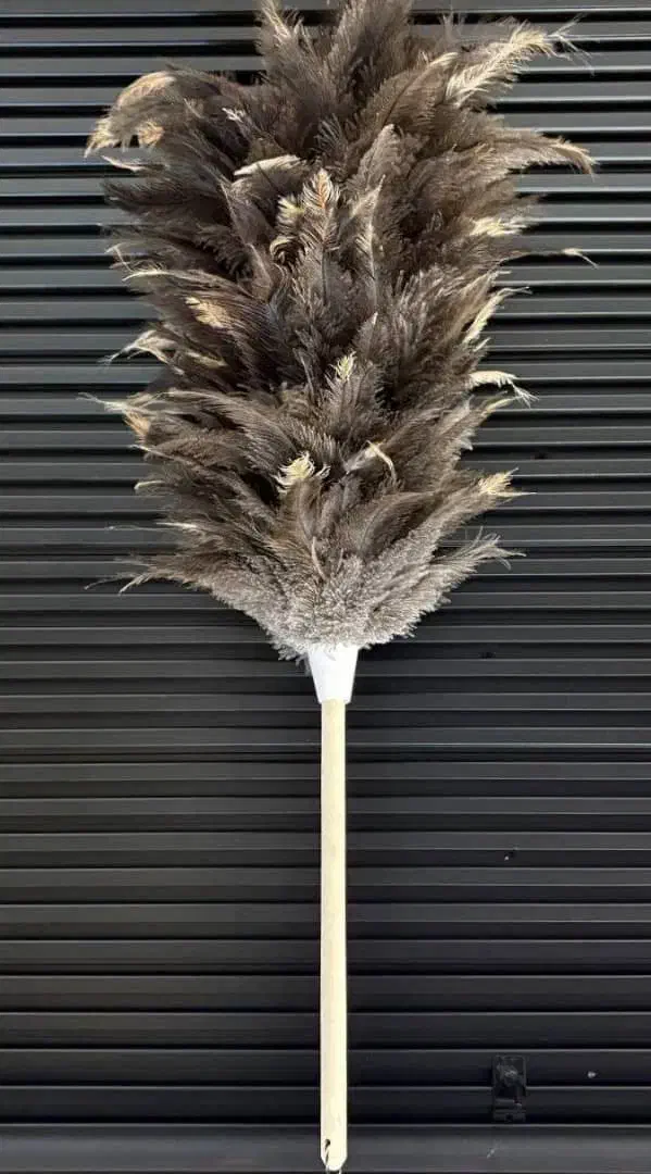 گردگیر شترمرغ عمده|لوازم نظافت|بانه, |دیوار