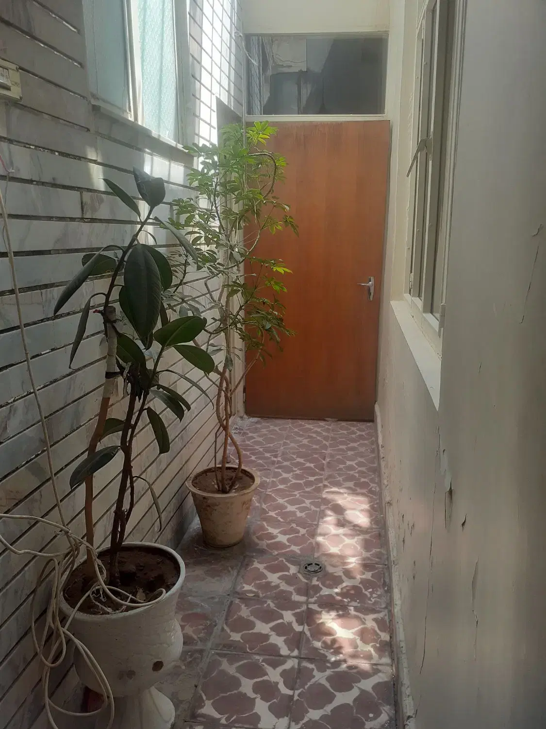 تصویر 6