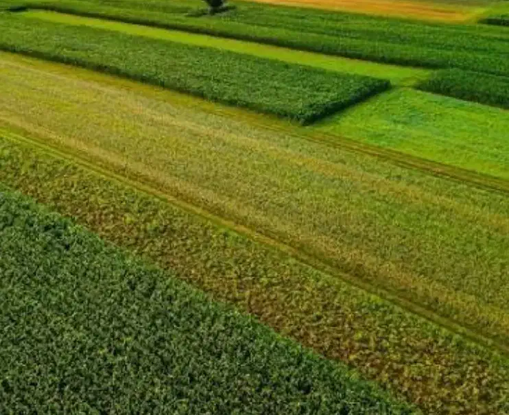 زمین کشاورزی زنجان یوسف اباد|فروش زمین و ملک کلنگی|باغ حلی, |دیوار