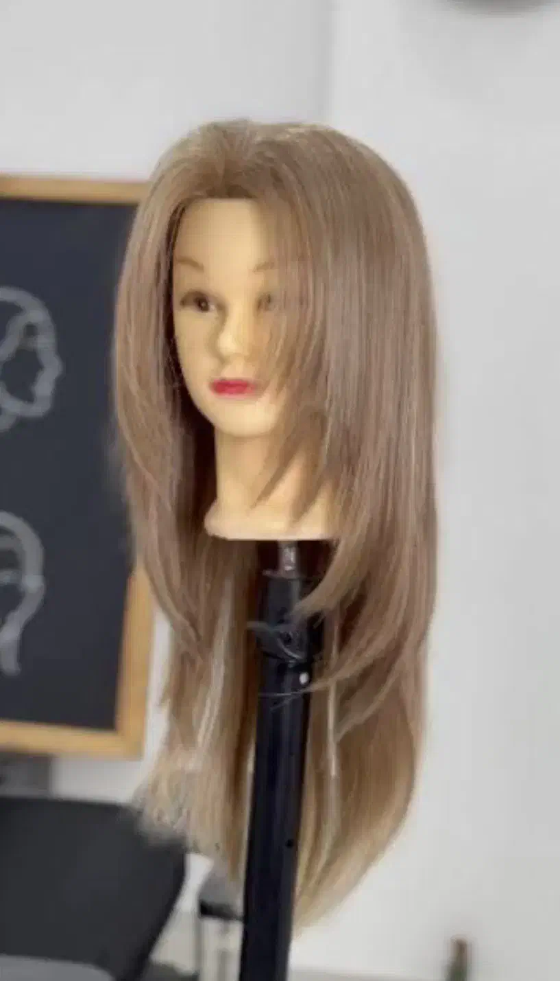 جذب مدل برای کوتاهی|خدمات آرایشگری و زیبایی|کرج, عظیمیه|دیوار