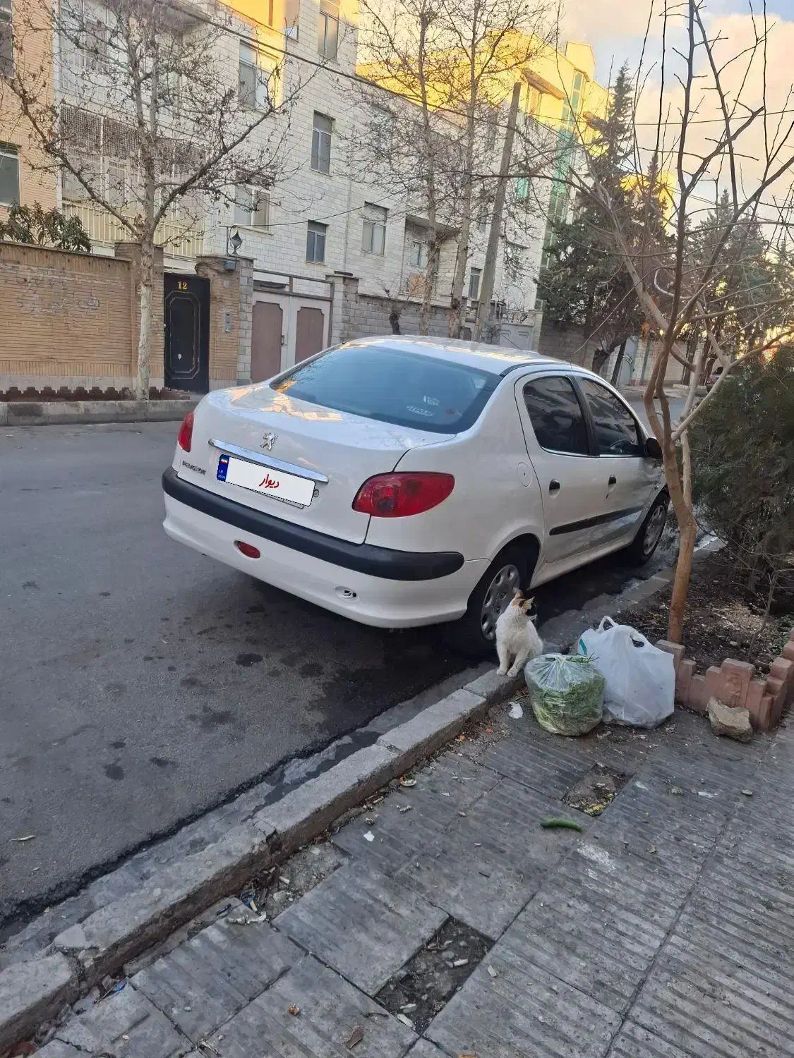 ۲۰۶sd در حد صفر|خودرو سواری و وانت|فردیس, شهرک صنعتی سیمین دشت|دیوار