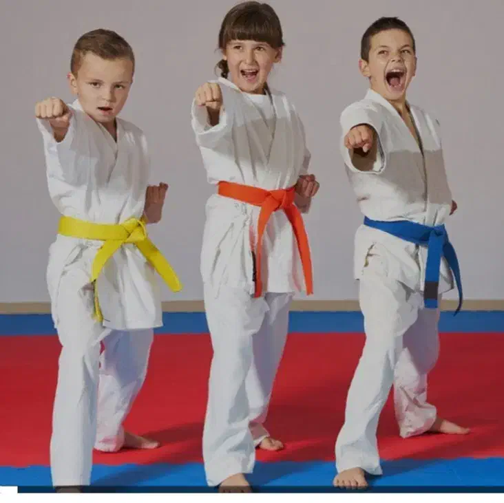 آموزش هنرهای رزمی کاراته و دفاع شخصی ویژه خردسالان|خدمات آموزشی|زابل, |دیوار