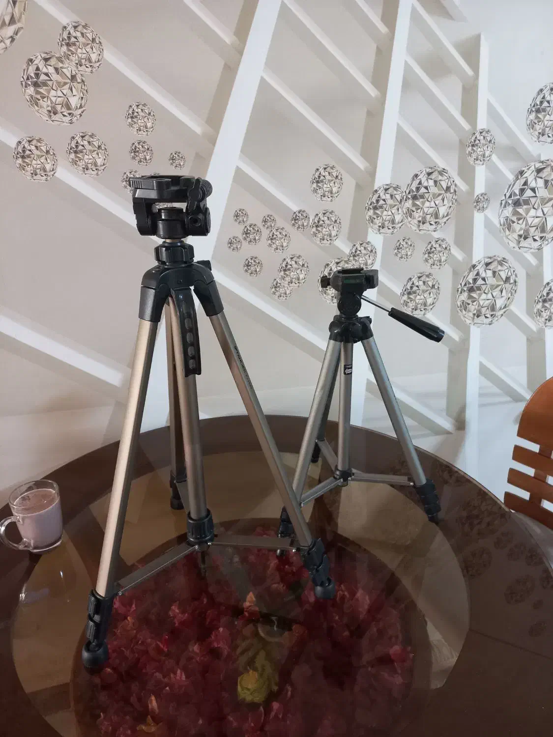 سه پایه|دوربین عکاسی و فیلم‌برداری|نسیم‌شهر, |دیوار